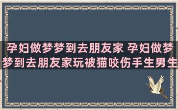 孕妇做梦梦到去朋友家 孕妇做梦梦到去朋友家玩被猫咬伤手生男生女